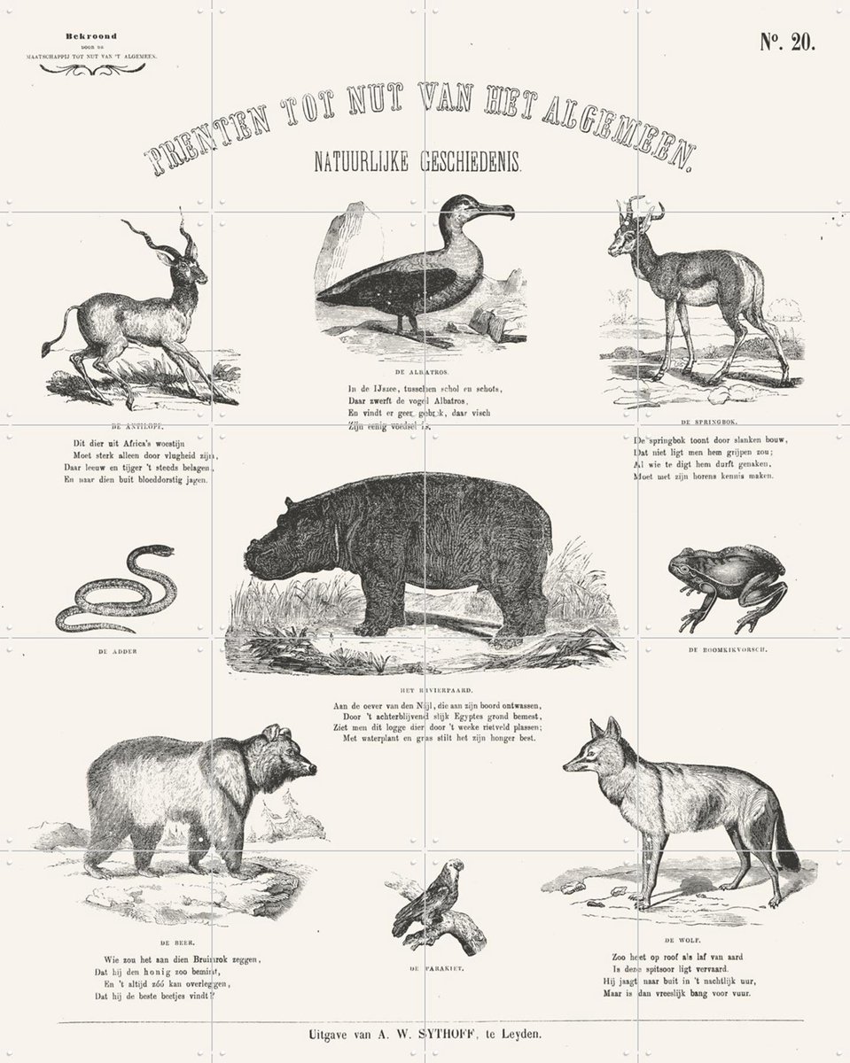 IXXI Animals Chart, Aster Edition - 80 x 100 cm - Gratis ophangtool - Grote wanddecoratie en posters - Illustraties, Vintage, Naturalisme, Houtsnede