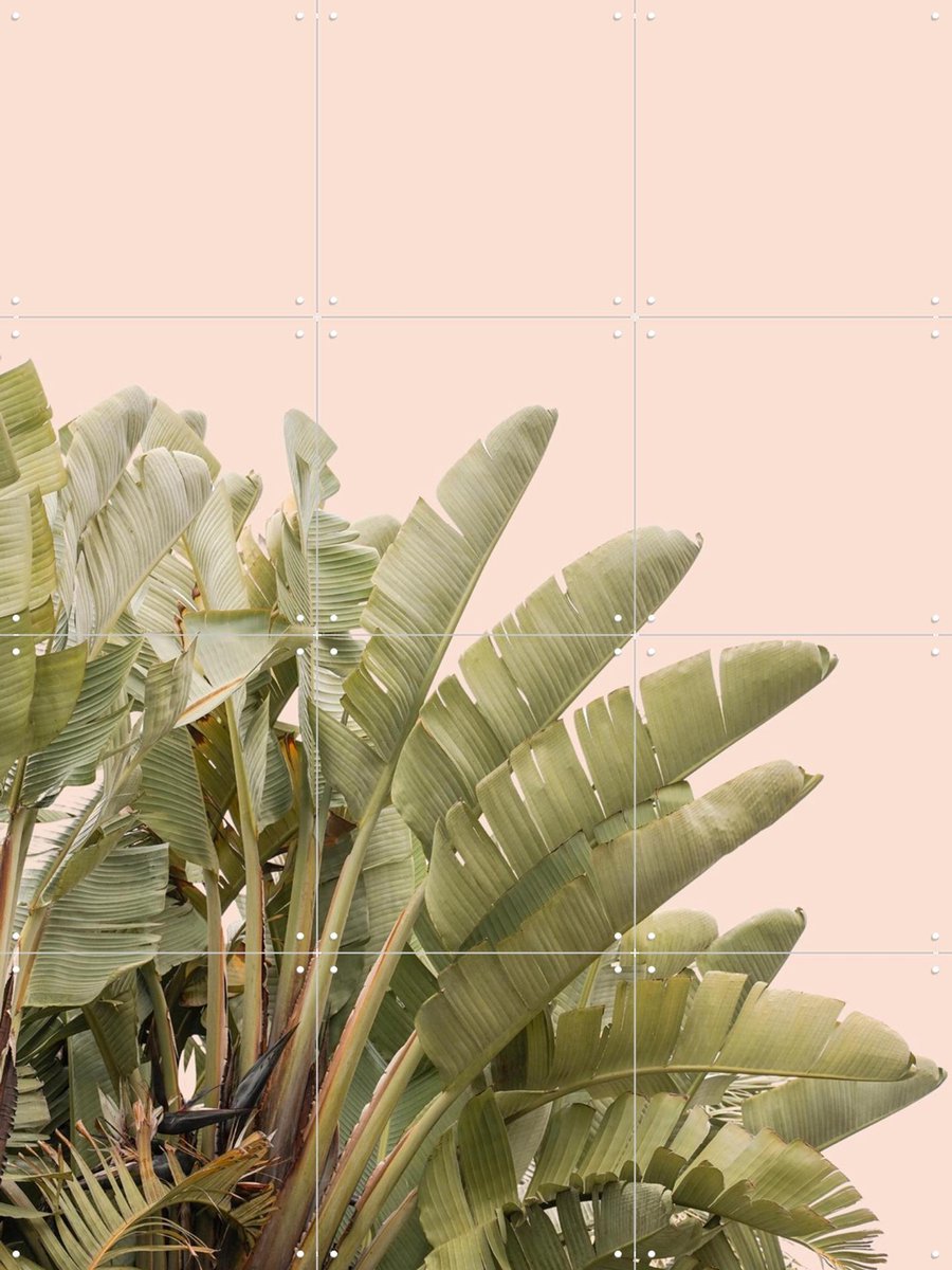 IXXI Tropical Leaves, Henrike Schenk - 60 x 80 cm - Gratis ophangtool - Grote wanddecoratie en posters - Fotografie, Minimalisme, Woonkamer