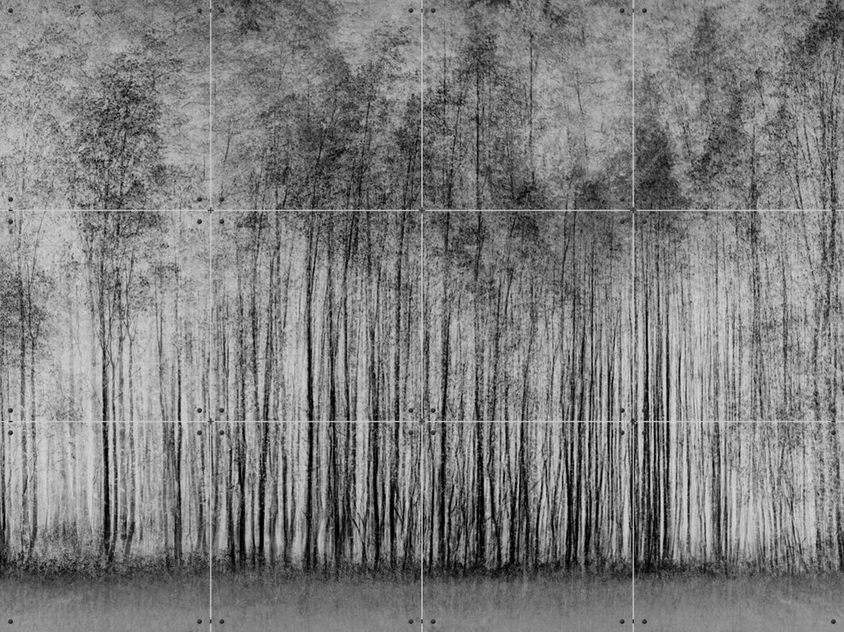 IXXI Impenetrable Forest, Various - 80 x 60 cm - Gratis ophangtool - Grote wanddecoratie en posters - Minimalisme, Fotografie, Woonkamer, Slaapkamer