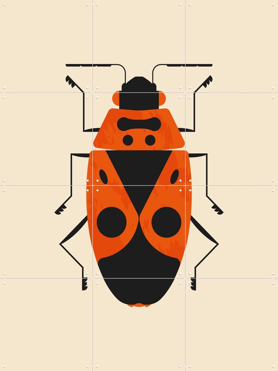IXXI The Firebug, Studio Kars + Boom - 60 x 80 cm - Gratis ophangtool - Grote wanddecoratie en posters - Grafisch Ontwerp, Kleurrijk, Digitale Kunst