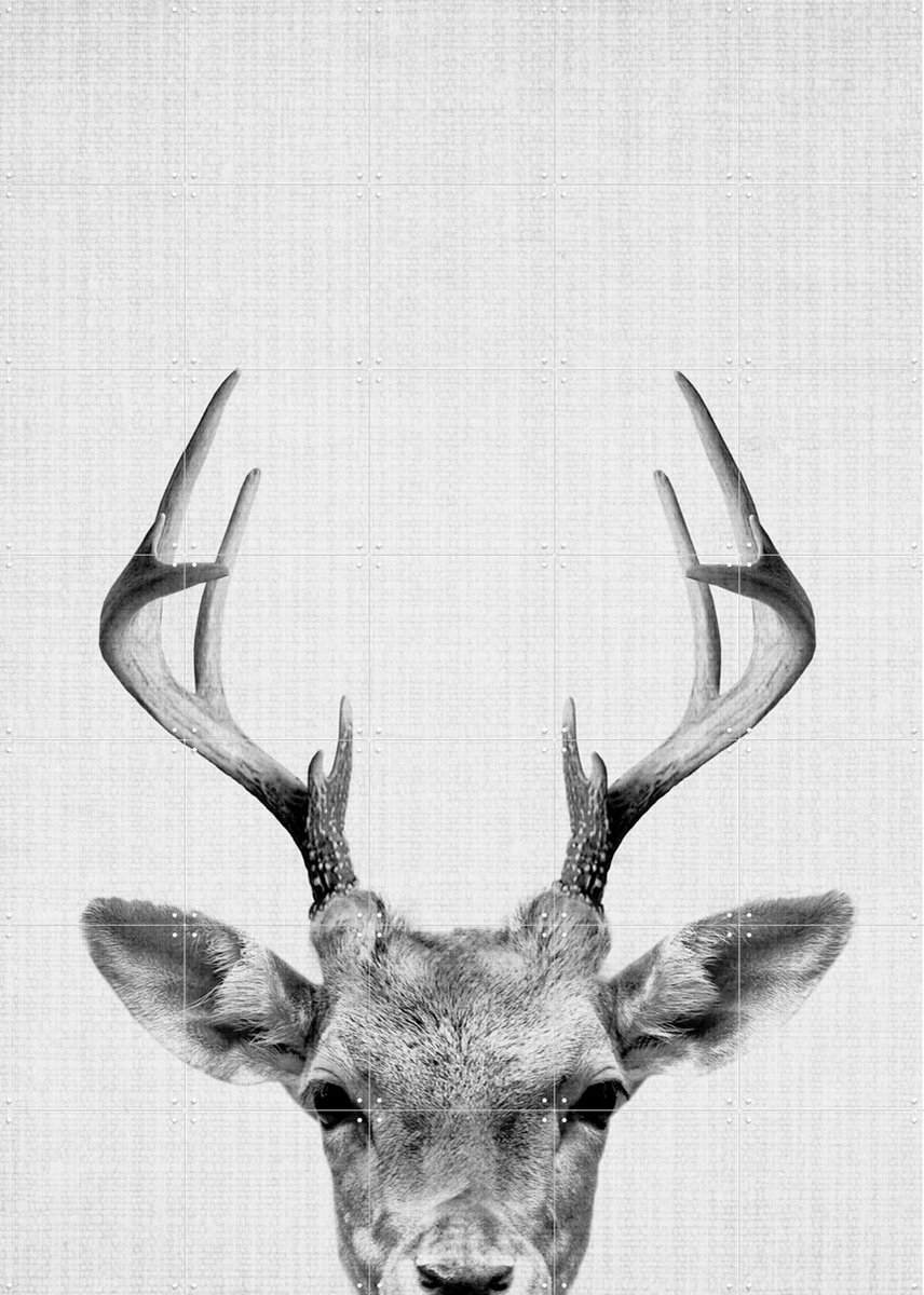 IXXI Print 38 Deer, Lila + Lola - 100 x 140 cm - Gratis ophangtool - Grote wanddecoratie en posters - Fotografie, Minimalisme, Woonkamer, Babykamer