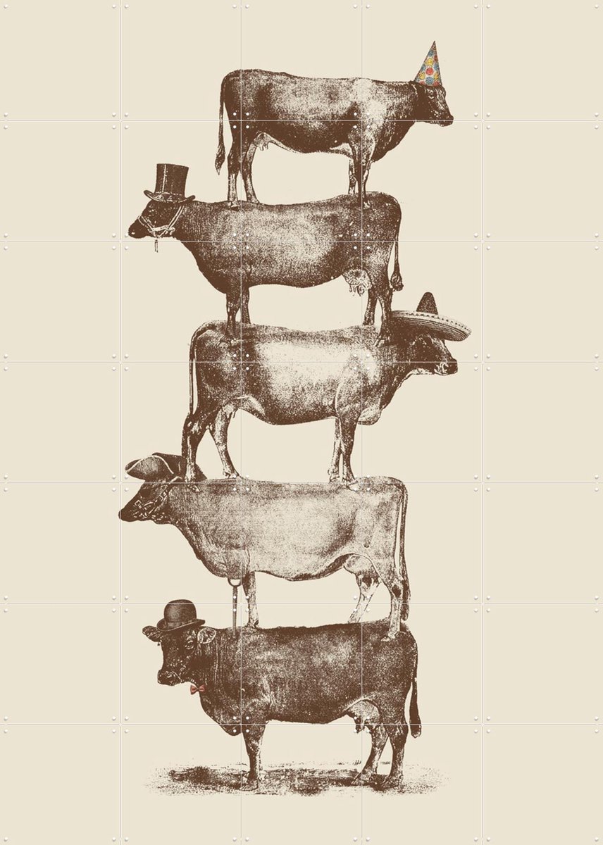 IXXI Cow Cow Nuts, Florent Bodart - 100 x 140 cm - Gratis ophangtool - Grote wanddecoratie en posters - Klassiek, Illustraties, Speels, Vintage