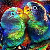 Diamond painting vogels 40 x 50 cm