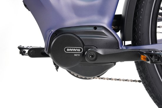 TTGO Z5 Elektrische Fiets - 250W Motor - 36V18Ah Accu - 27.5 Inch Banden - Max Snelheid 25km/u - Max Bereik 110-130km - Shimano 9 Versnellingen - Diepblauw van TTGO — afbeelding 3