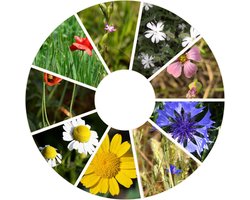 Innemend Inheems - Bloemenmengsel zaden