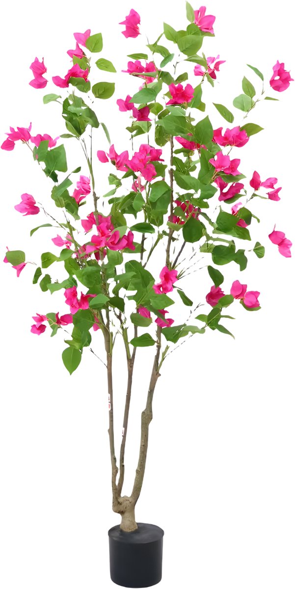 Happiq Kunstmatige Bougainvillea Boom - Voor Thuiskantoor & Binnen - Faux Bloeiende Boom met Bloemen en Bladeren in Pot - 150 cm - 150cm Groen