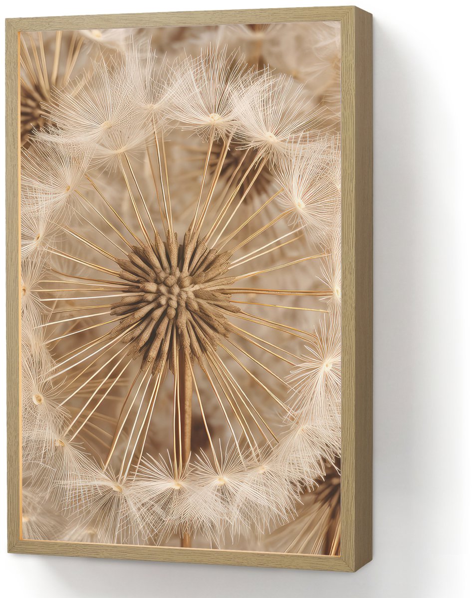 Wandlamp 40x60 cm - Oplaadbaar - Paardenbloem - Bloemen - Natuur - Bruin - Wandlampen binn
