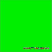 Party Album