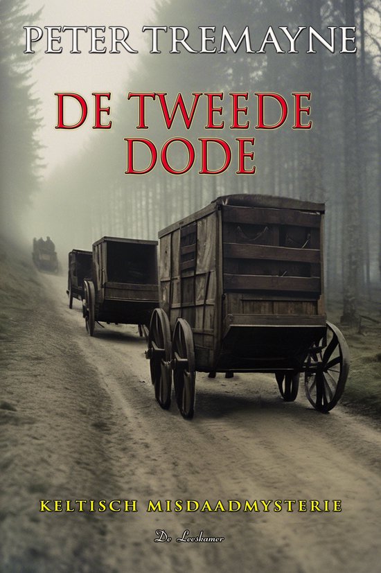 Zuster Fidelma 25 - De tweede dode - cover