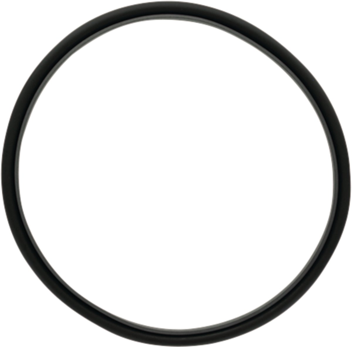 DANA Spicer Serie - Afdichtring - Aandrijftechniek - Hoge nauwkeurigheid - Duurzaam - Betrouwbare afdichting