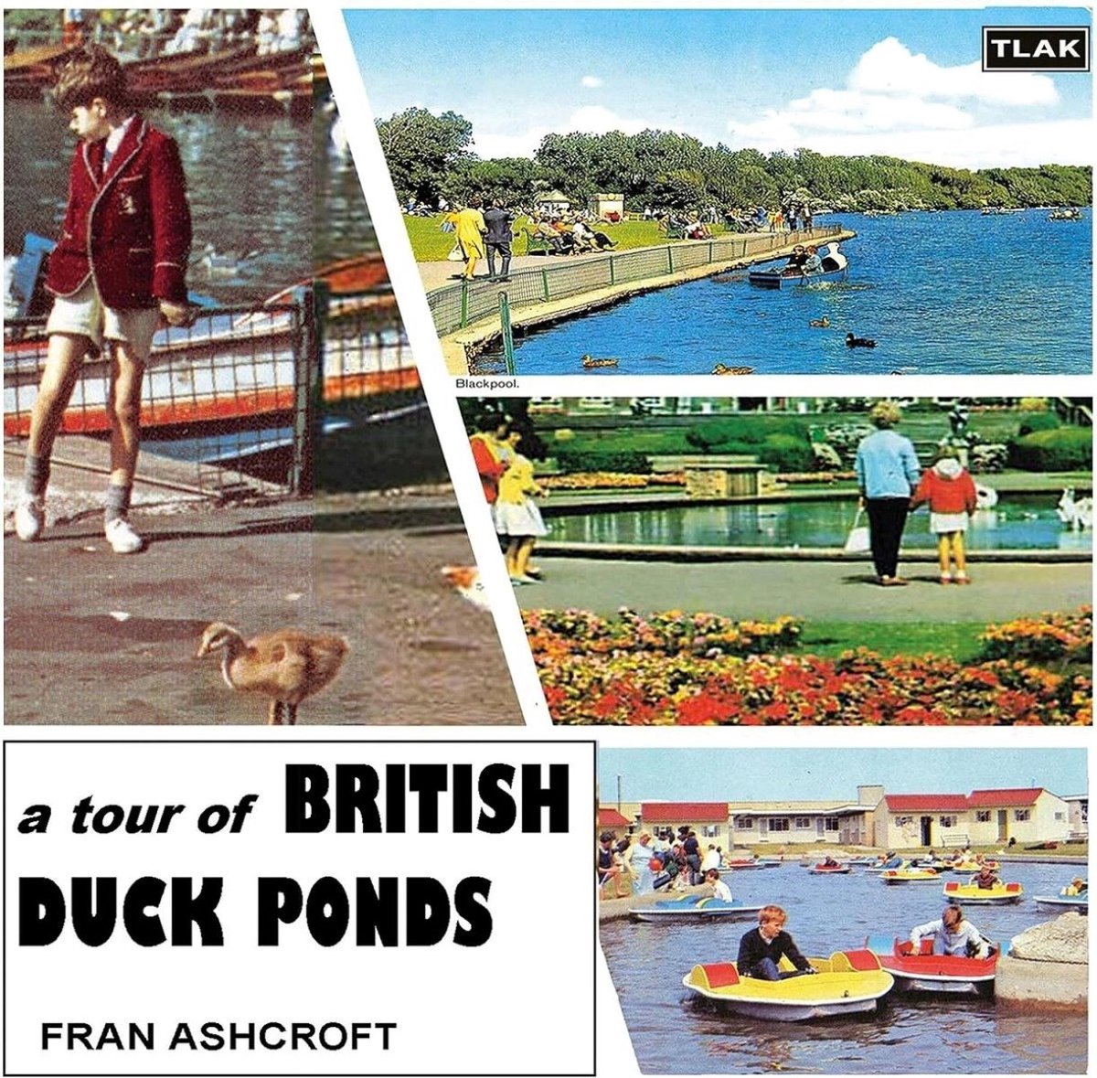 A Tour of British Duck Ponds