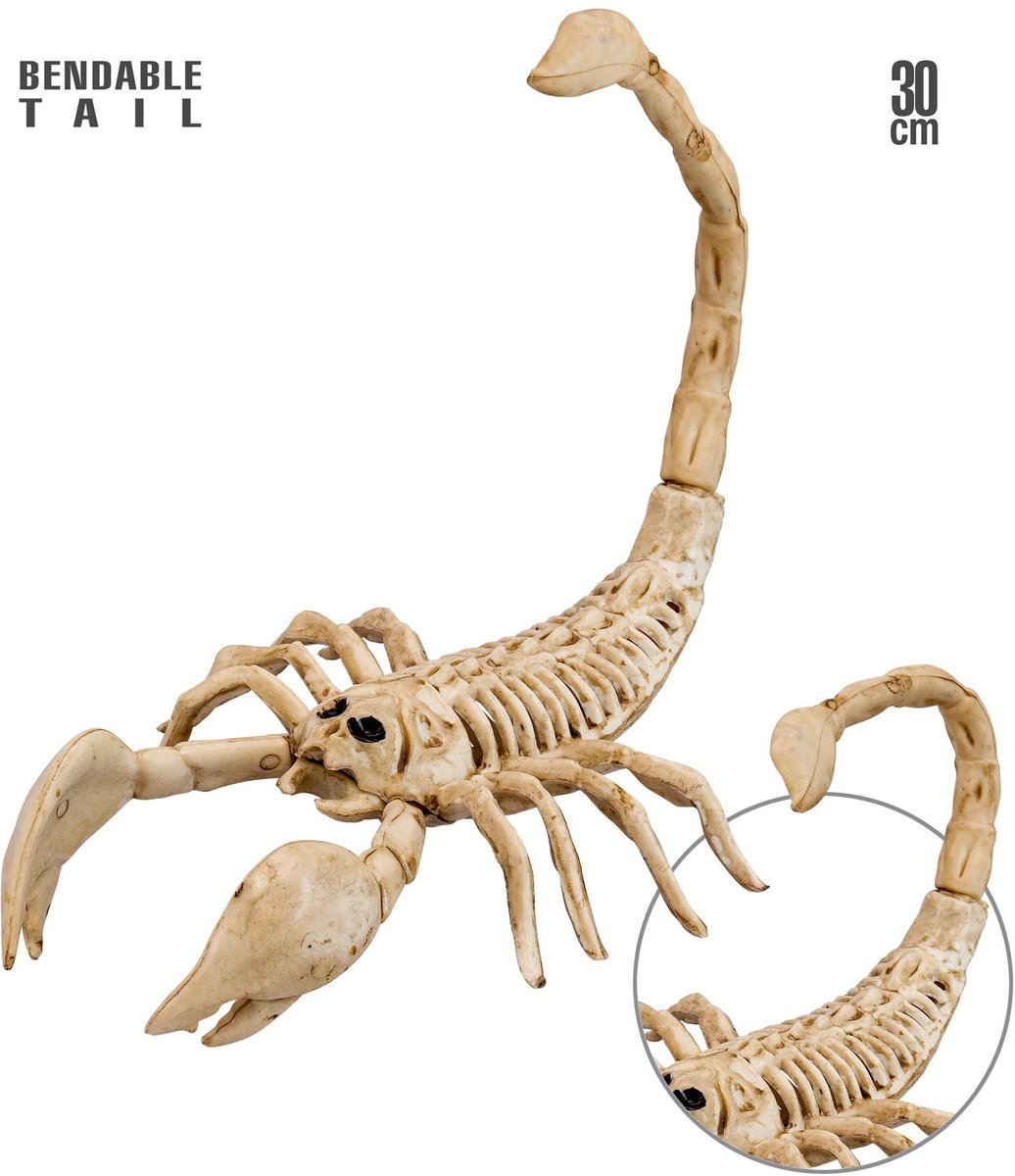 Schorpioen skelet