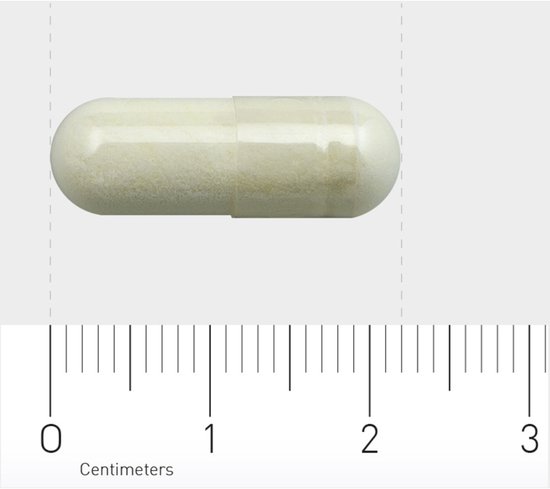 Een enkele witte, doorschijnende vegacapsule met een poederachtige inhoud, gemeten met een liniaal.