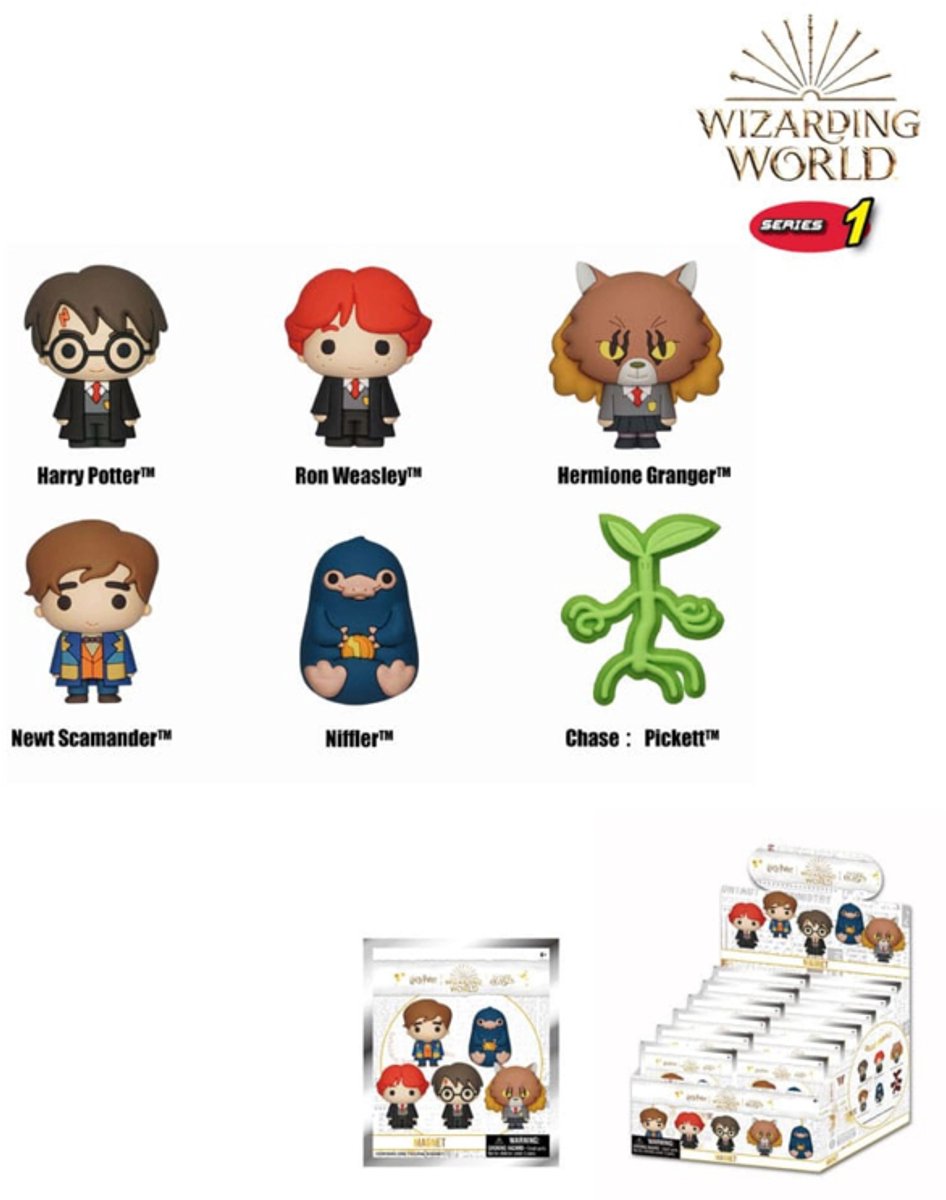 Wizarding World 3D Magnets Series 1 Display (12)