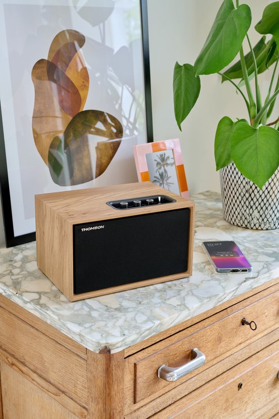 Thomson Cosy WS302 Multimedia Compact Speaker - Bluetooth van Merkloos — afbeelding 5