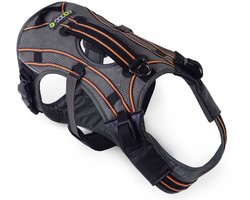 EQDOG Hondentuig Pro Harness Oranje Maat XS