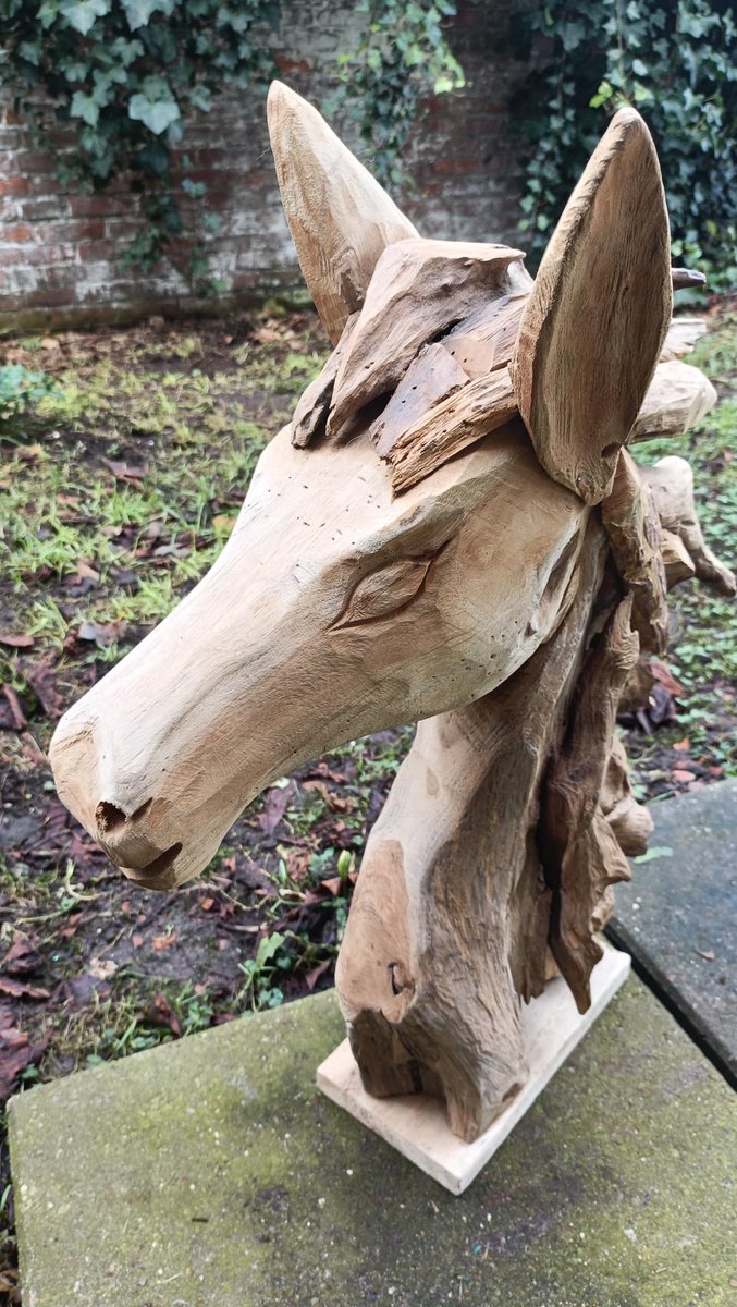 Paardenhoofd van drijfhout