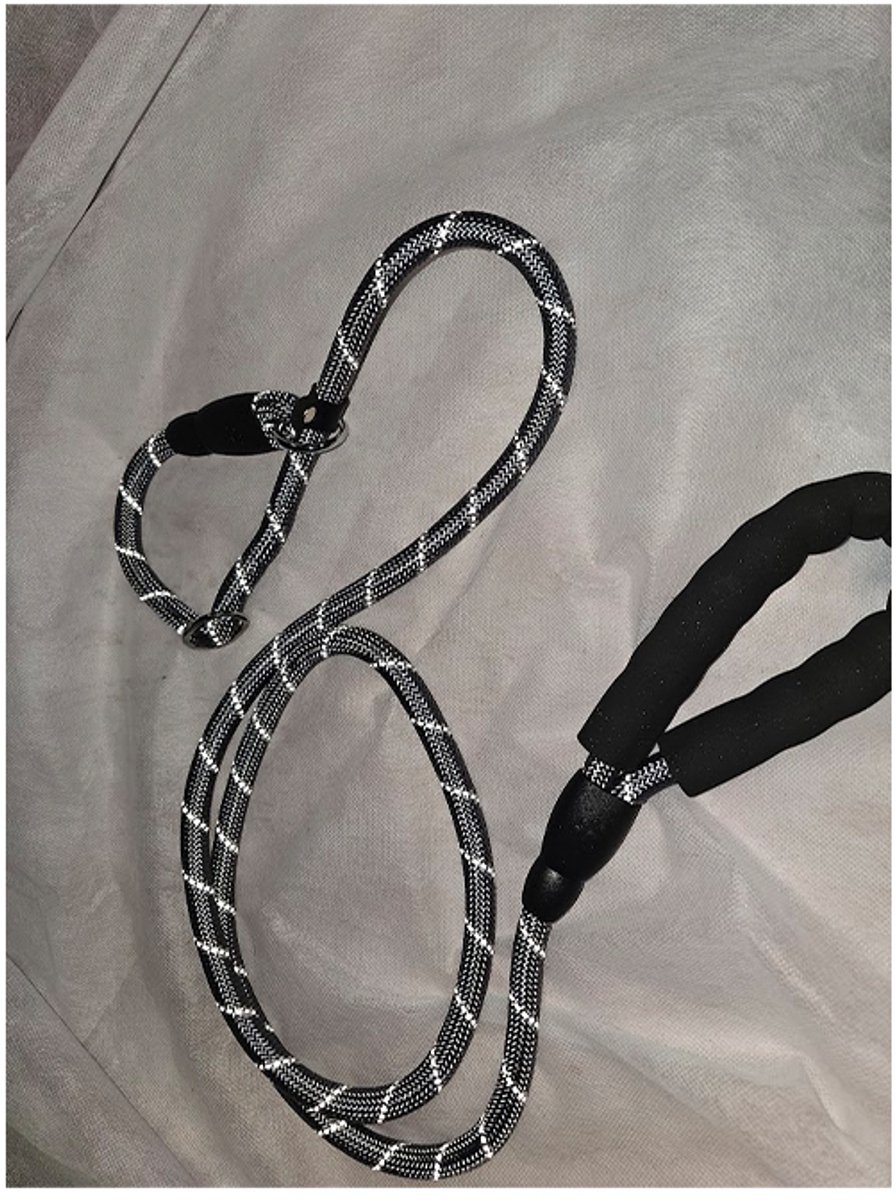 Cocapet sliplijn voor honden - 13 mm x 180 cm - grijs - 2 stoppen - schoollijn géén wurgriem - reflecterend - zacht handvat- grijs