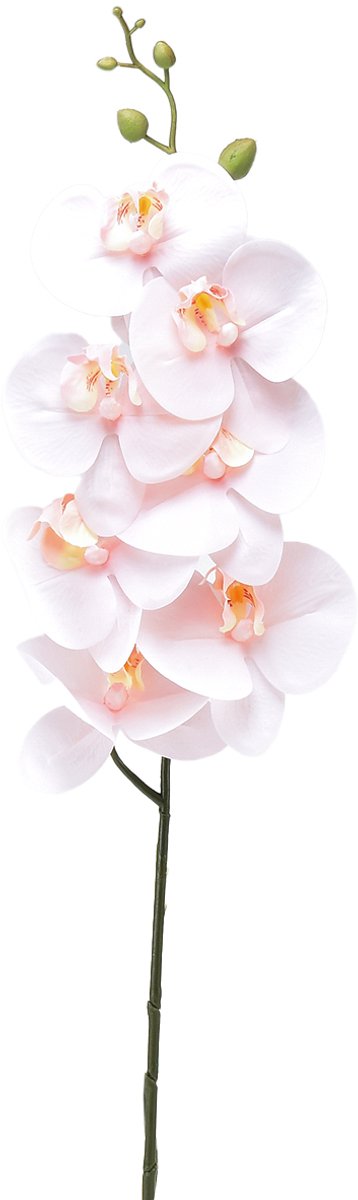 Kunstorchidee Roze Phalaenopsis Real Touch 83cm