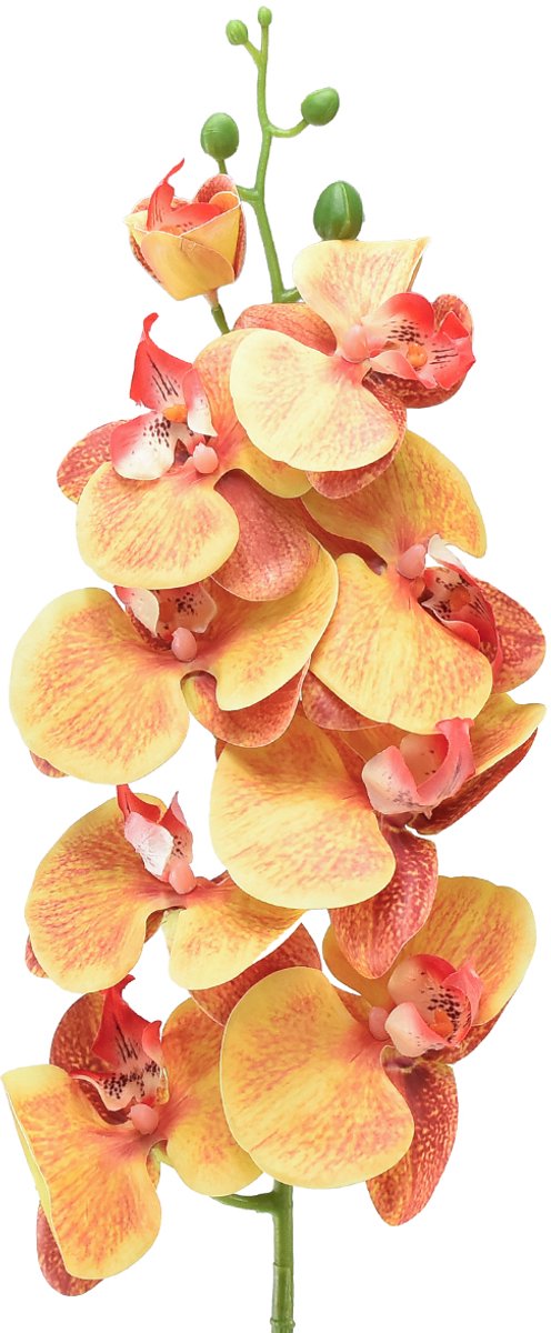 Orchidee Phalaenopsis kunst 9 bloemen rood geel 96cm