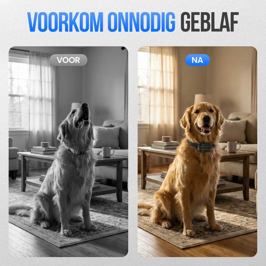 Voor en na foto van golden retriever met anti-blafband. Eerst blaffend, daarna stil.