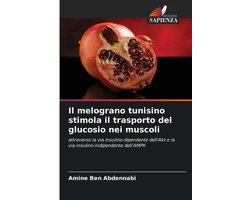 Il melograno tunisino stimola il trasporto del glucosio nei muscoli
