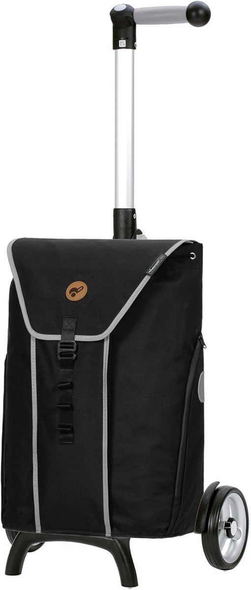 Grote Boodschappentrolley met Tas - Inklapbaar en Lichtgewicht Winkelwagen