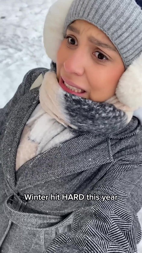 Cupplement - 4 sachets de capsules d'extrait de Chaga 60 pièces - Extrait 20:1 - Comprend un pilulier - Biologique - 400 MG par capsule - Geen poudre - Supplément - Superaliment - Champignon - Champignon