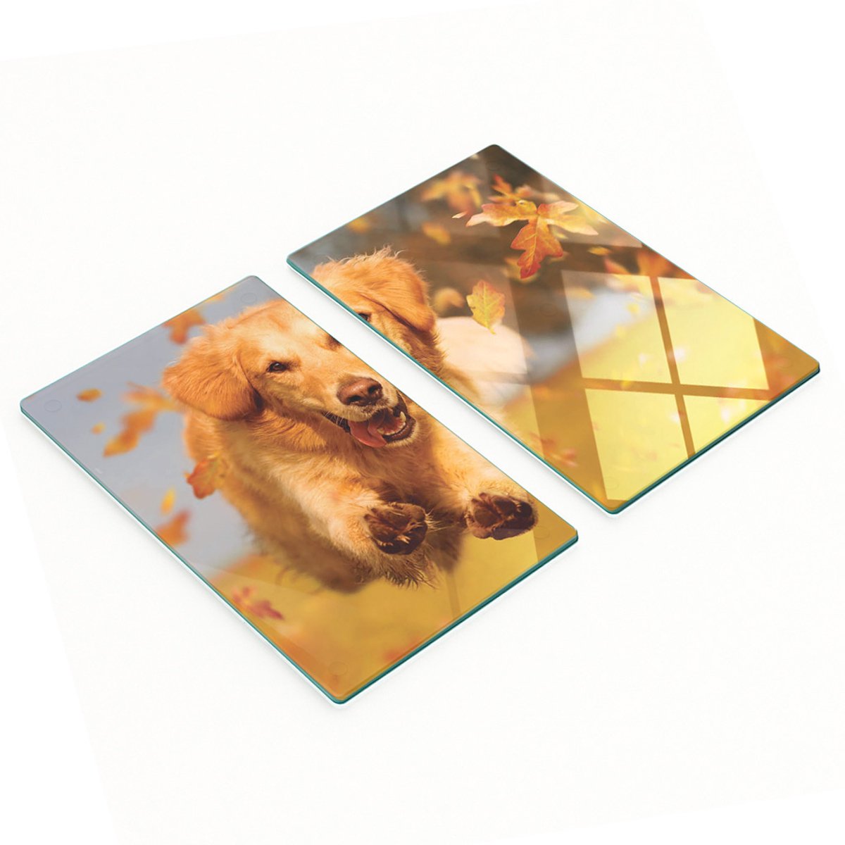 Krasbestendige glazen borden met afbeelding van een Golden Retriever, 2x30x52 cm