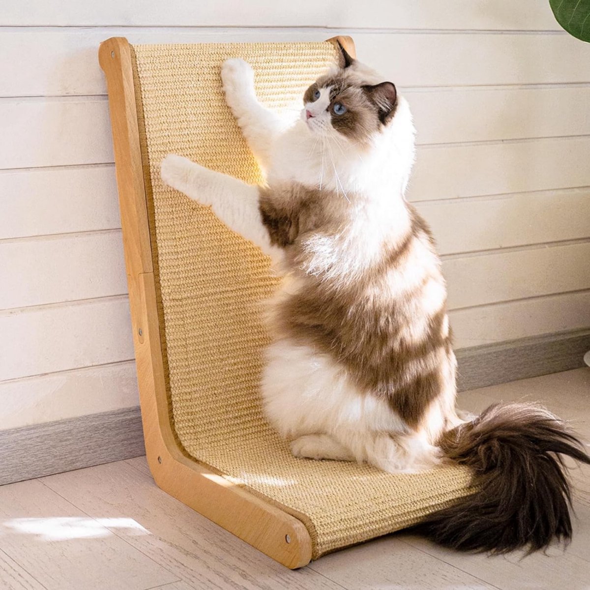 Quvo® Krabton - Krabpaal - Krabton voor Katten- Beige - 37cm x 48cm x 58 cm; 3.42 kg