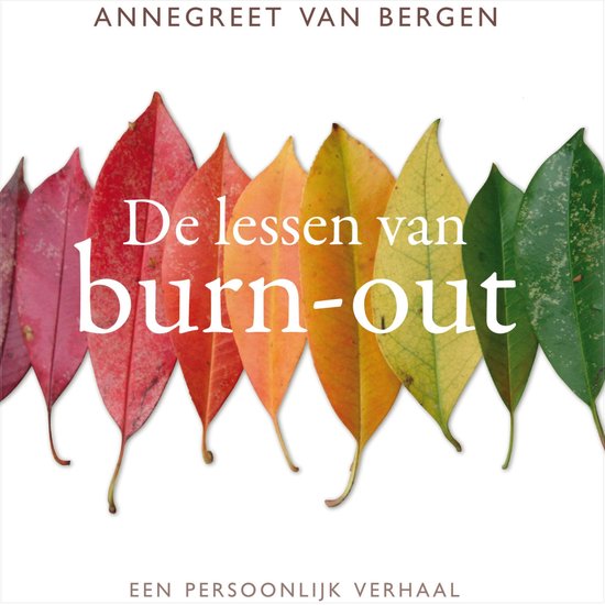 De lessen van Burn-out - cover
