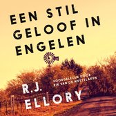 Boekcover met de titel "Een stil geloof in engelen" op een zonsonderganglandschap met een windmolen.