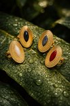 Vier gouden ovale ringen met zwarte, grijze, witte en rode stenen op een nat groen blad.