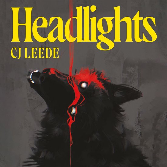 Headlights - cover