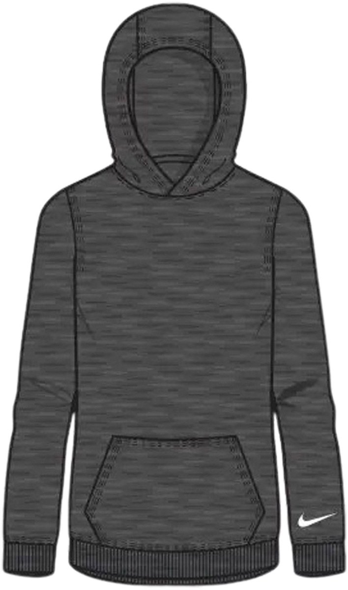 Nike Park 26 Fleece Hoodie Junior Grijs
