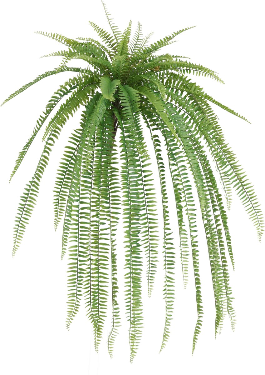 maxifleur Kunstplanten Boston Kunst Hangvaren 90cm RT Groen