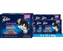 FELIX Zo lekker als het eruit ziet Junior natvoer voor katten (6 x 12 x 85g)