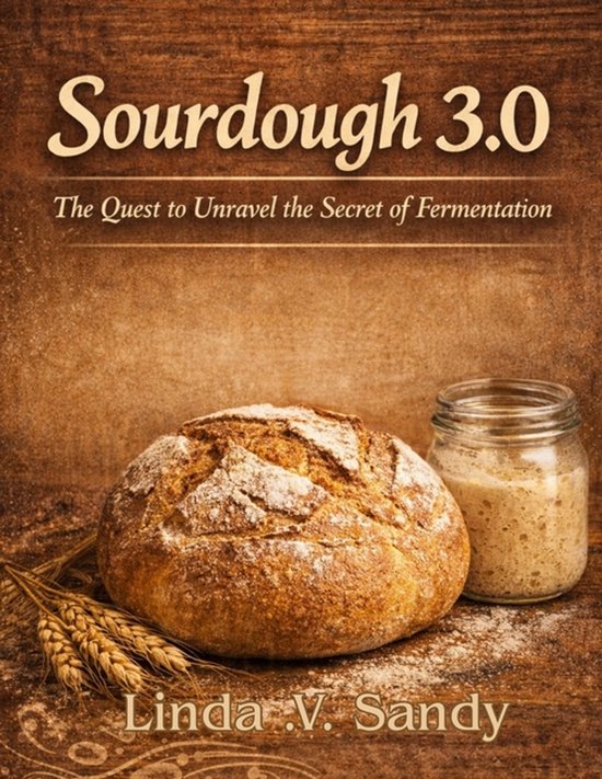 Sourdough 3.0 - cover