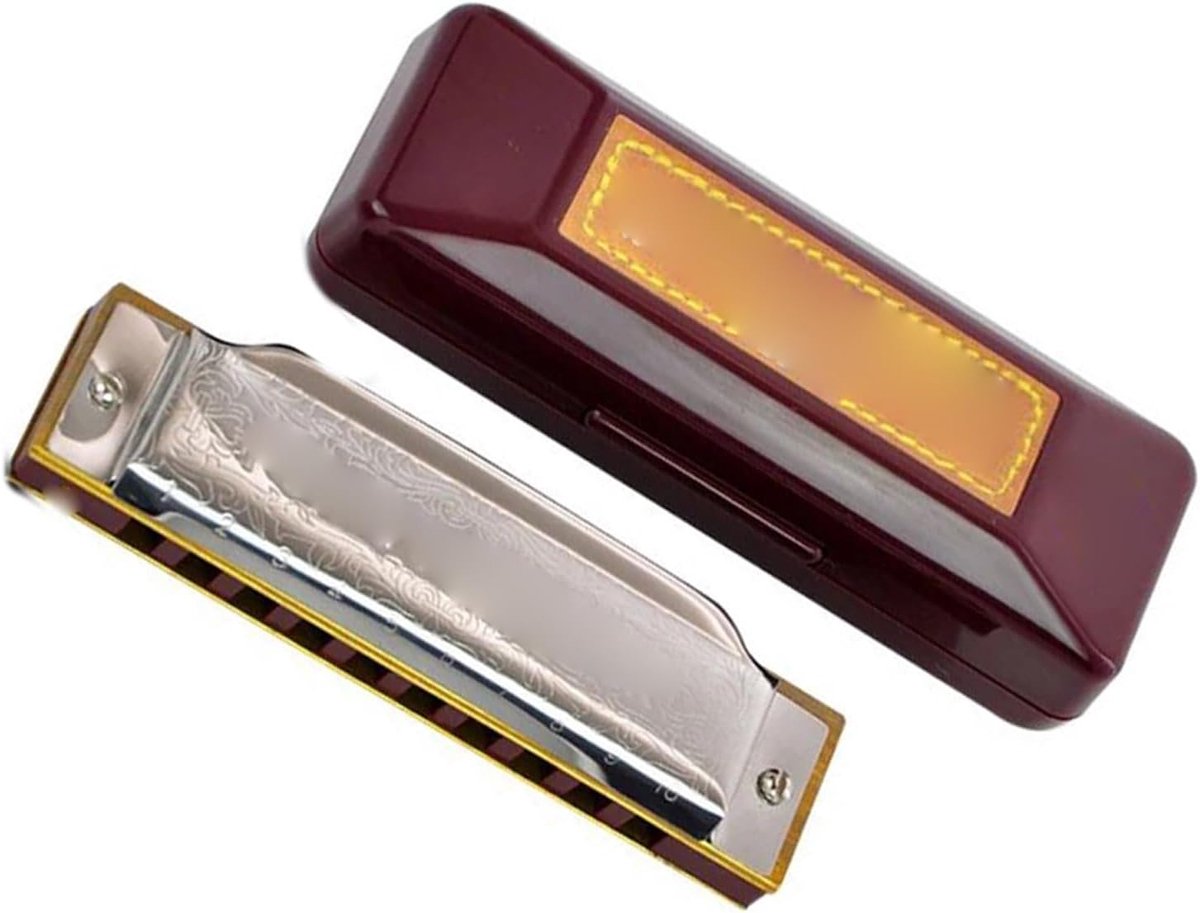 Diatonische Mondharmonica - 10-gaats Instrument - Muziek Maken - Hars Lichaam - Zilver