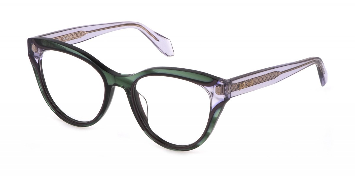 Just Cavalli VJC001V Verde striato trasparente 51/18/140 WOMAN Brilmonturen