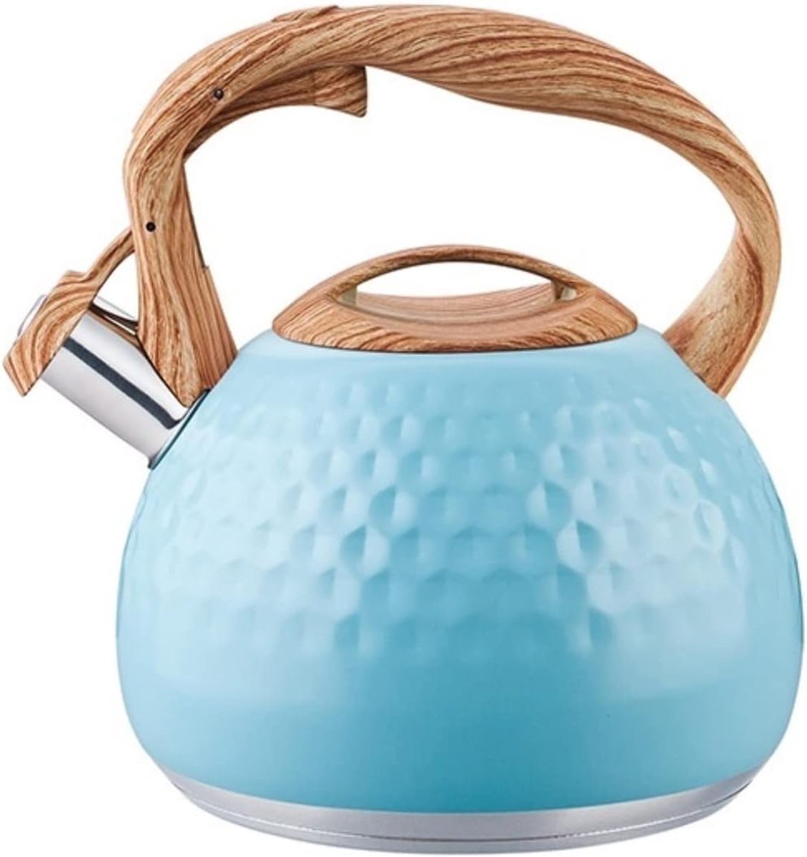Waterketel Fluitketel - Theepot Keuken - Water Koken - Grote Capaciteit - 20 x 22.8 cm - Blauw