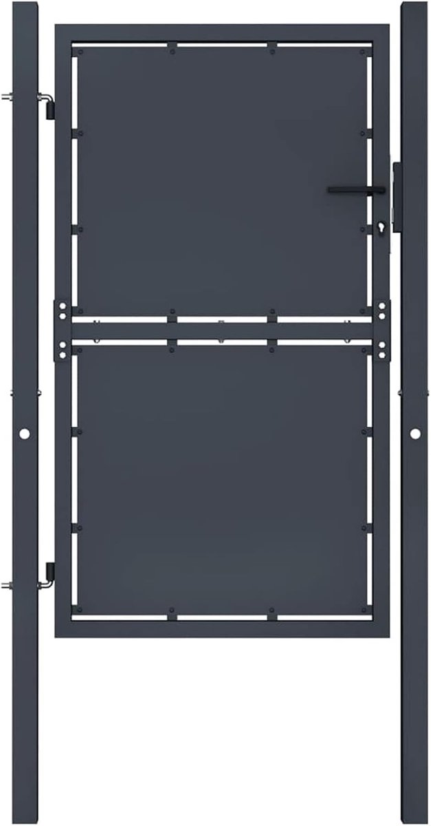 Stalen Tuinpoort - Hekwerk Deur - Toegang Afsluiten - Inclusief Sluiting - 100x150 cm - An