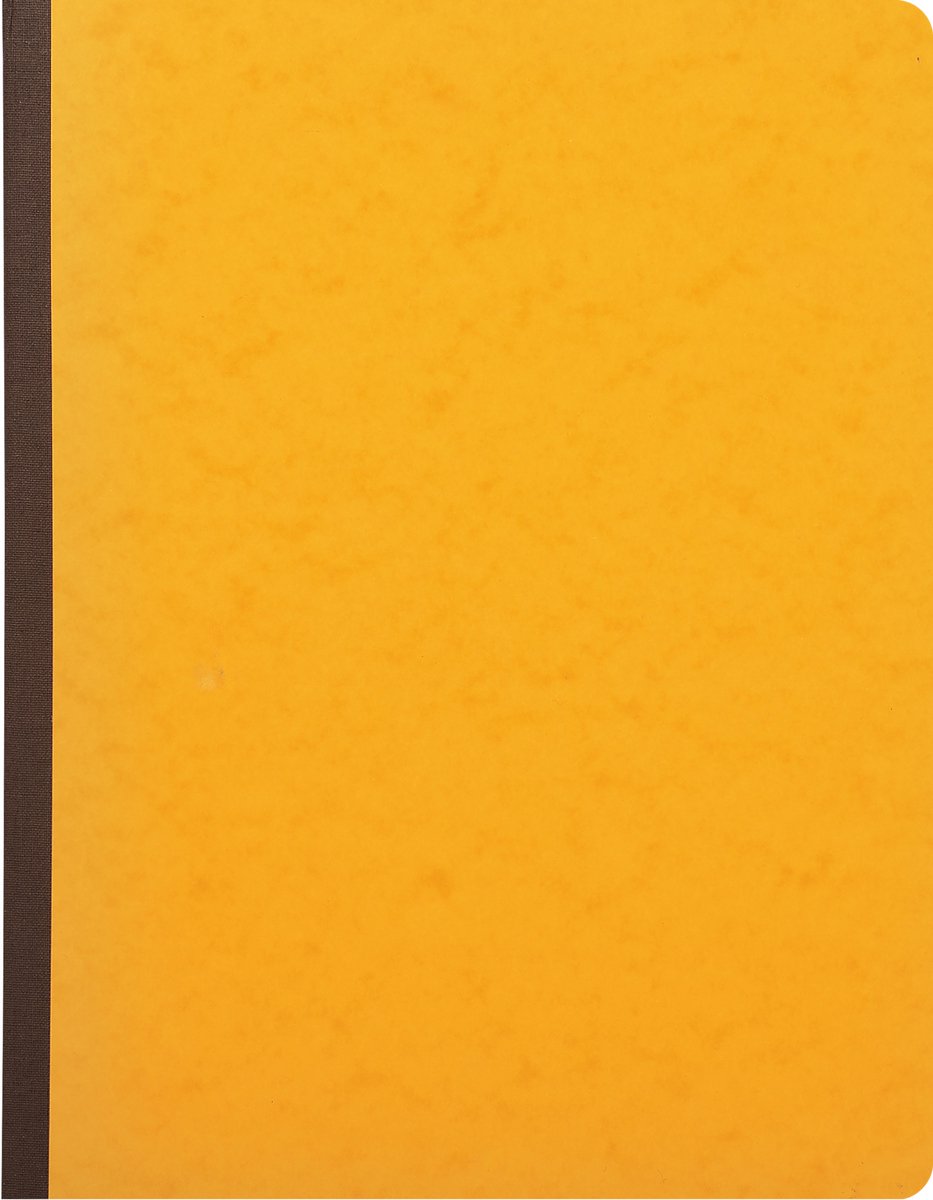 Exacompta Register 32x25 cm - 5 kolommen op 1 pagina - 31 lijnen - 80 blad - Geassorteerd - 4050E