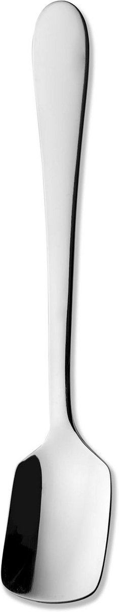Set van 2 Ice Cream Spoons van Hoogwaardig Roestvrijstaal - Elegant en Modern Design