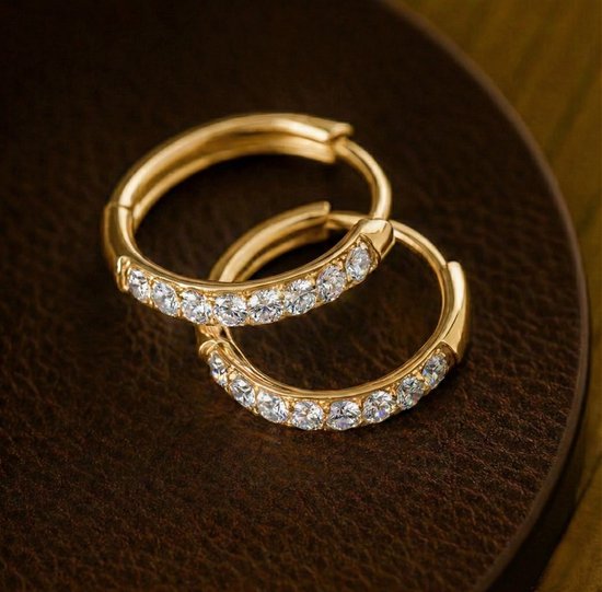 Lundholm Luxe Oorringen Met Zirkonia Steentjes Goudkleurig Jewellery - Premium Stainless Steel Gold PVD Plated - Kleine Oorbellen Dames Classy 14 mm Goud - My Delia Serie - Luxe Vrouwen Cadeautjes