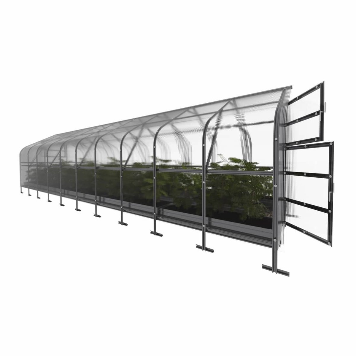 Klasika Polycarbonaat tuinkas 2,5x12m 30m² Drop