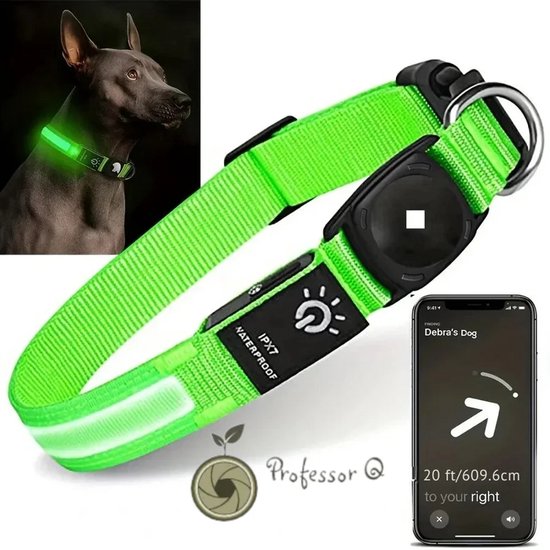 Collier pour Chien LED Professor Q NightGlow Reflect – Avec Porte-AirTag (Excl. AirTag) – Étanche – Rechargeable par USB – Vert – S