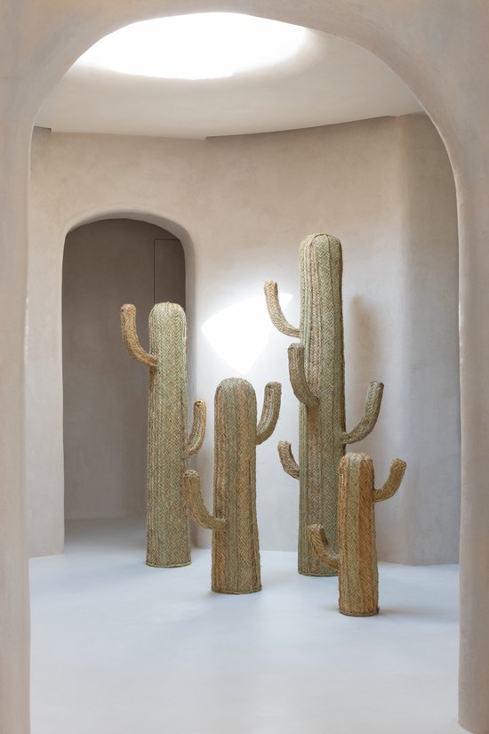 J-Line Cactus décoratif - roseau - naturel - medium