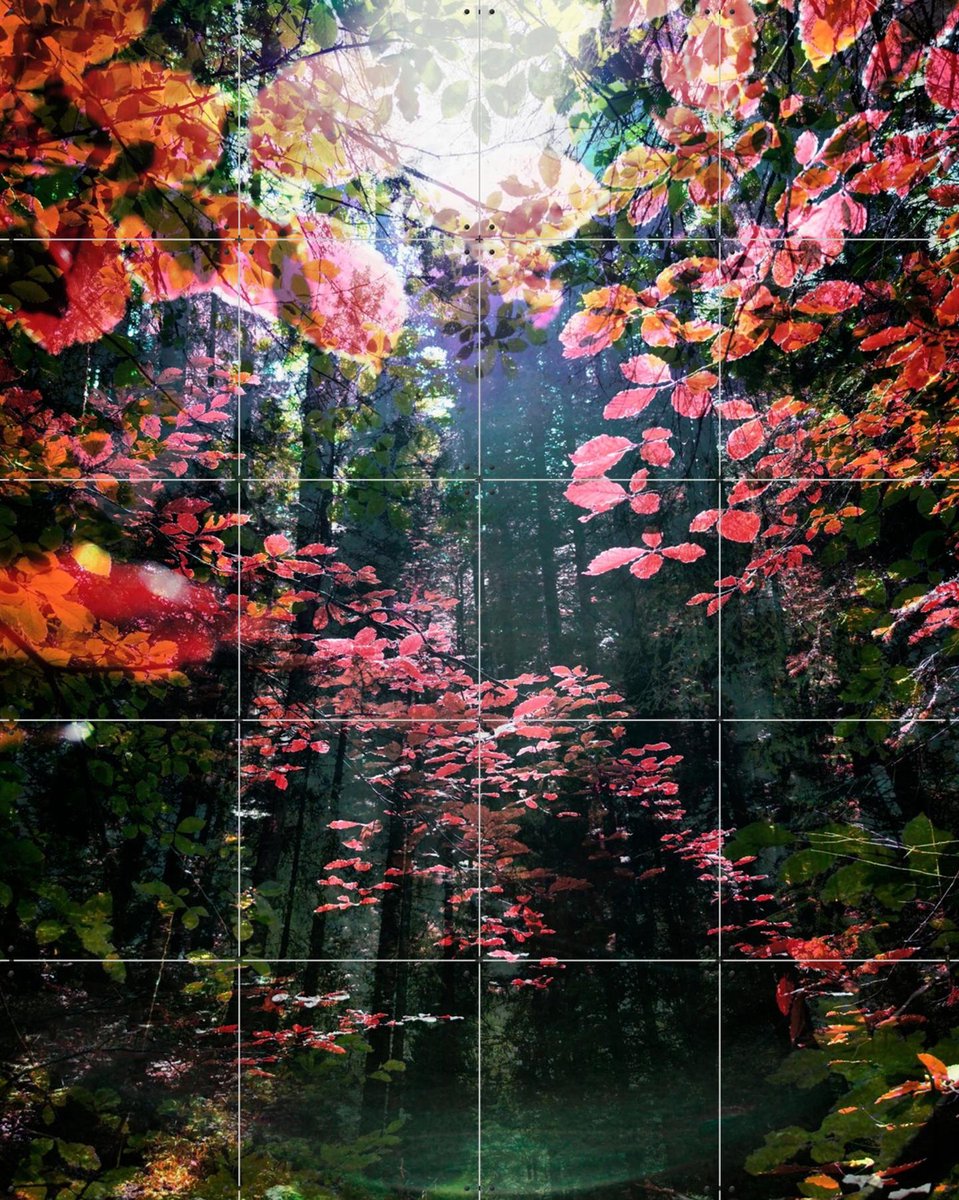 IXXI Enchanted, Angelo Cerantola - 80 x 100 cm - Gratis ophangtool - Grote wanddecoratie en posters - Fotografie, Gemengde Technieken, Woonkamer