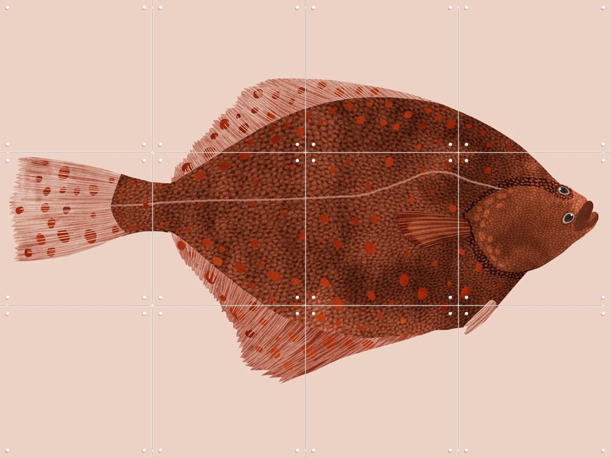 IXXI Plaice, Merel Corduwener - 80 x 60 cm - Gratis ophangtool - Grote wanddecoratie en posters - Illustraties, Woonkamer, Vissen, Zeeleven